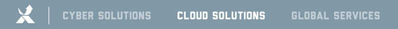 EXCLUSIVE NETWORKS - Cyber Solutions - Cloud Solutions - Global Services