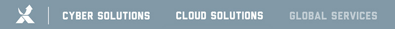 EXCLUSIVE NETWORKS - Cyber solutions - Cloud solutions - Global Services