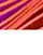 NEWSLETTER FORTINET