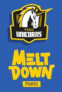 Melt Down Paris